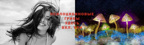 трава Белоозёрский