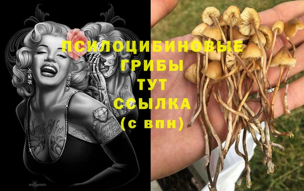 а пвп мука Беломорск