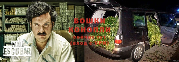 круглые Белокуриха